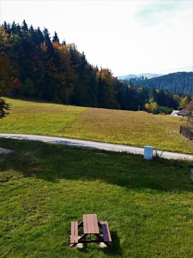 Apartament Z Kominkiem I Wanna Istebna Exterior foto
