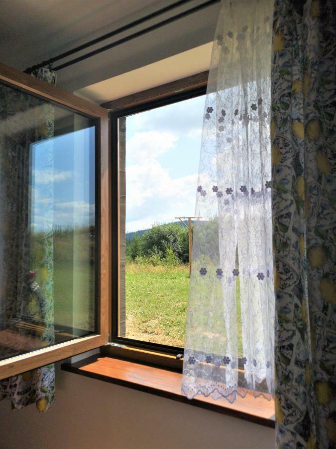 Apartament Z Kominkiem I Wanna Istebna Exterior foto