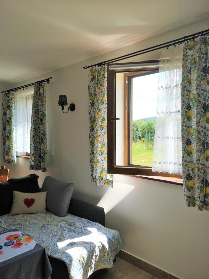 Apartament Z Kominkiem I Wanna Istebna Exterior foto