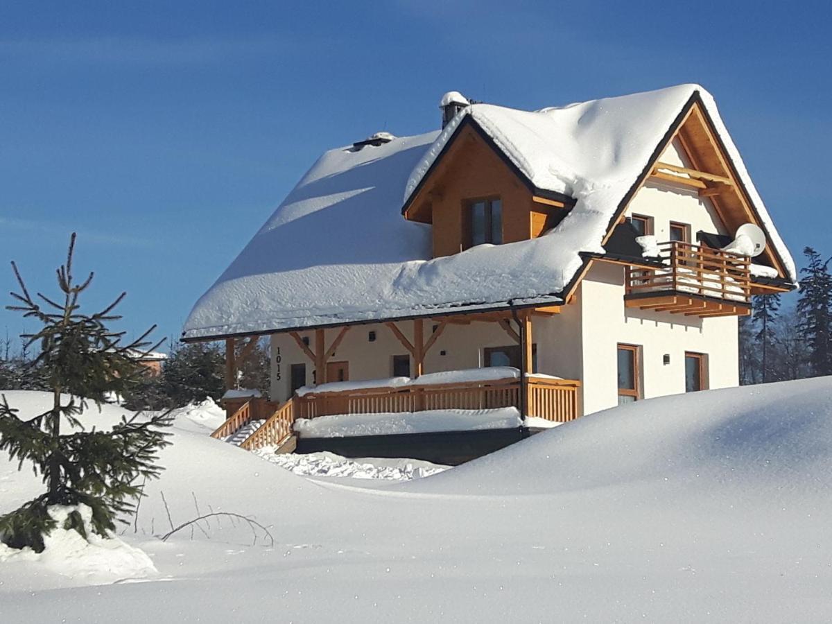 Apartament Z Kominkiem I Wanna Istebna Exterior foto